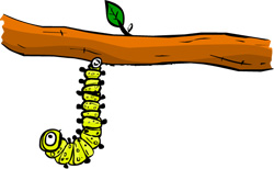 Caterpillar hangs upside down