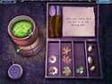 3 Days Amulet Secret Game screenshot 2 - click for larger view
