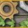 A Magnetic Adventure Game - Free A Magnetic Adventure Game Download