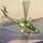Air Assault Game - Free Air Assault Game Downloads