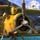 Amazing Adventures Special Edition Bundle Game - Free Amazing Adventures Special Edition Bundle Game Downloads