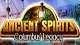 Ancient Spirits Columbus' Legacy Game - Free Ancient Spirits Columbus' Legacy Game Download