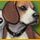 Best in Show Solitaire Game - Free Best in Show Solitaire Game Download