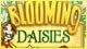 Blooming Daisies Game - Free Blooming Daisies Game Download