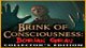 Brink of Consciousness: Dorian Gray Syndrome Collector's Edition Game - Free Brink of Consciousness: Dorian Gray Syndrome Collector's Edition Game Download