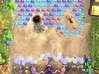 Bubble Bonanza Game screenshot 2 - click for larger view