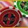 Casino Chaos Game - Free Casino Chaos Game Download