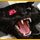 Dark Tales Edgar Allan Poe's The Black Cat Collector's Edition Game - Free Dark Tales Edgar Allan Poe's The Black Cat Collector's Edition Game Download