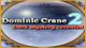 Dominic Crane 2 Dark Mystery Revealed Game - Free Dominic Crane 2 Dark Mystery Revealed Game Download