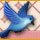 Dream Day True Love Game - Free Dream Day True Love Game Download