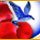 Dream Day Wedding Bella Italia Game - Free Dream Day Wedding Bella Italia Game Downloads