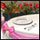 Dream Day Wedding Getaways Bundle Game - Free Dream Day Wedding Getaways Bundle Game Downloads
