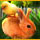 Play Easter Eggztravaganza 2 Game Download Free Play Easter Eggztravaganza 2 Game Download Free