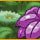 Flower Mania Mac Game - Free Flower Mania Game for Mac Download
