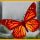 Fluttabyes Game - Free Fluttabyes Game Download