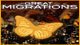 Great Migrations Game - Free Great Migrations Game Download