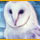 Mystery Trackers: Black Isle Game - Free Mystery Trackers: Black Isle Game Download Mystery Trackers: Black Isle Game - Free Mystery Trackers: Black Isle Game Download