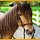 Planet Horse Game - Free Planet Horse Game Download