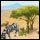 Project Rescue Africa Game - Free Project Rescue Africa Game Download