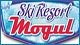 Ski Resort Mogul Game - Free Ski Resort Mogul Game Download