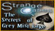 Strange Cases: The Secrets of Grey Mist Lake Game - Free Strange Cases: The Secrets of Grey Mist Lake Game Download Strange Cases: The Secrets of Grey Mist Lake Game - Free Strange Cases: The Secrets of Grey Mist Lake Game Download