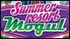 Summer Resort Mogul Game - Free Summer Resort Mogul Game Downloads