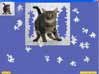 Super Jigsaw Kittens Game screenshot 1 - click for larger view