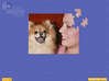 Super Jigsaw Puppies Game screenshot 1 - click for larger view
