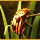 Play Treasure Island: The Golden Bug Game Download Free Play Treasure Island: The Golden Bug Game Download Free