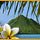 Vacation Quest: The Hawaiian Islands Mac Game - Free Vacation Quest: The Hawaiian Islands Game for Mac Download