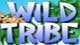 Wild Tribe Mac Game - Free Wild Tribe Game for Mac Downloads