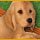 Wonder Pets Save the Puppy Game - Free Wonder Pets Save the Puppy Game Download