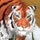 World Riddles: Animals Game - Free World Riddles: Animals Game Downloads
