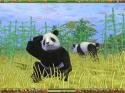 Zoo Empire Game screenshot - click for larger view