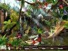 Zulu's Zoo Game screenshot 3 - click for larger view