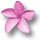 Aloha Solitaire Card Game - Free Aloha Solitaire Downloads