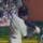 Baseball Mogul 2009 Game - Baseball Mogul 2009 Game Downloads