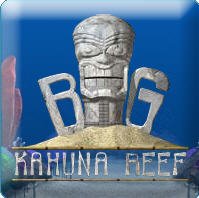 Big Kahuna Reef - Download Free Game Now