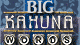 Big Kahuna Words Game