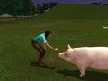 Farm Vet Game screenshot - click for larger view