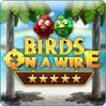 Birds on a Wire Game - Free Birds on a Wire Game Download