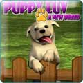 Puppy Luv Game - Free Puppy Luv Game Downloads