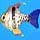Fish Tycoon Game