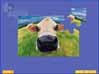 Super Jigsaw Adorable Animals 2 Game screenshot - click for larger view