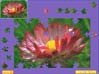 Game screenshot - click to zoom