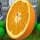 Juice Mania Game - Free Juice Mania Game Downloads