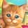 Kitty Luv Game - Free Kitty Luv Game Downloads