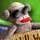 Little Shop Big City Game - Free Little Shop Big City Game Downloads