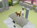 Pet Vet 3D Animal Hospital Game screenshot - click for larger view
