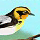 Snapshot Adventures Game - Free Snapshot Adventures Secret of Bird Island Game Downloads